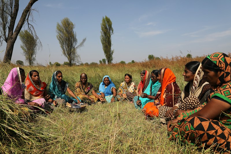 Women in bright saris sitting together in a circle on open grassland