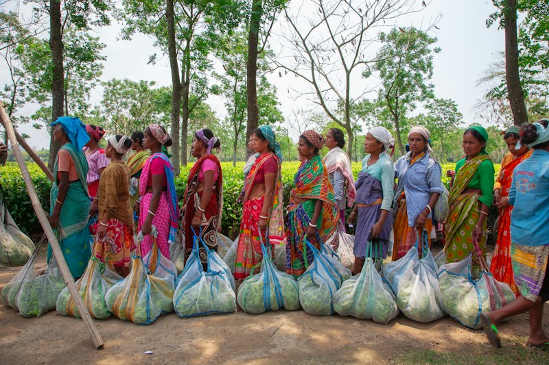 A line of women in bright saris standing beside large sacks after a day's work